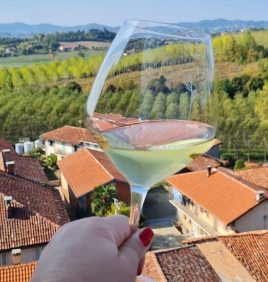 Белые вина Пьемонта 02/04