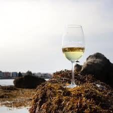 Солёные вина  30/04