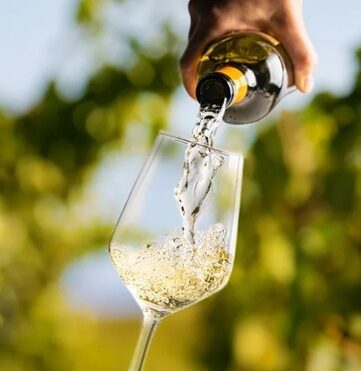 Итальянские вина Vermentino 11/07
