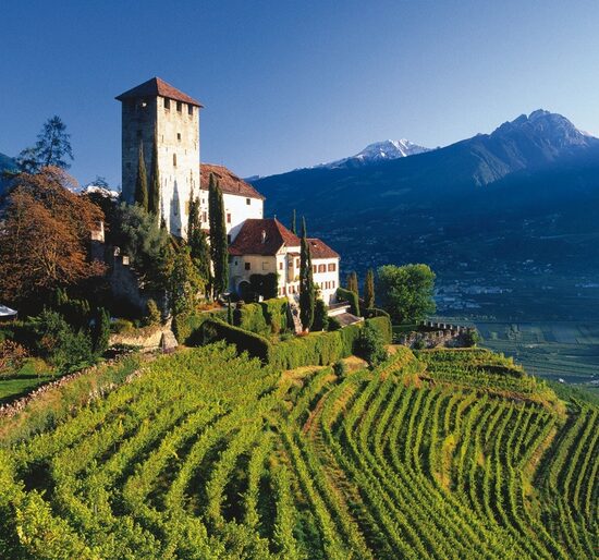 Вина Alto-Adige 07/08